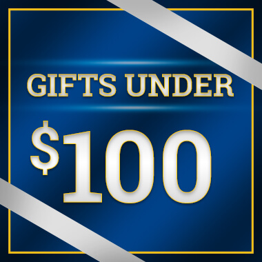 gifts under $100